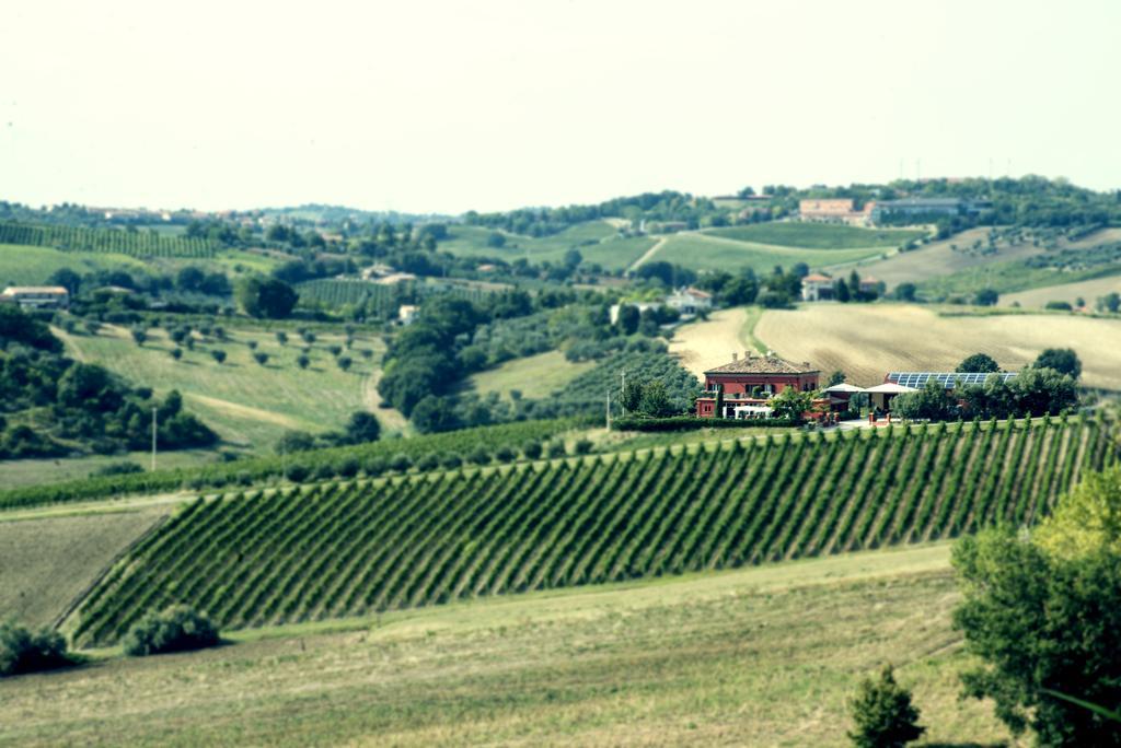 Tenuta Santini Villa Coriano Exterior foto